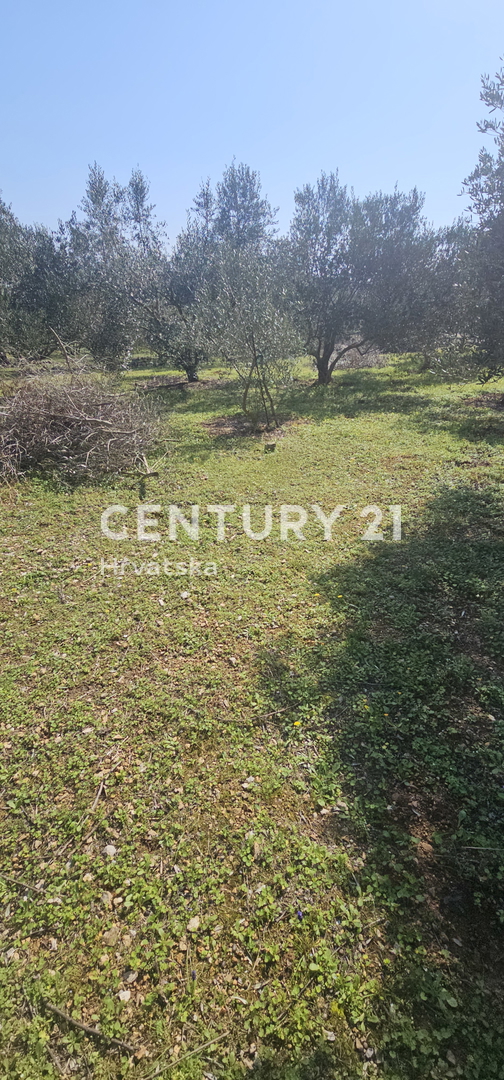 Kukljica, isola di Ugljan, terreno edificabile di 1840 m2 delimitato da muro a secco