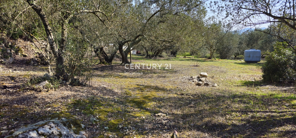 Kukljica, isola di Ugljan, terreno edificabile di 1840 m2 delimitato da muro a secco