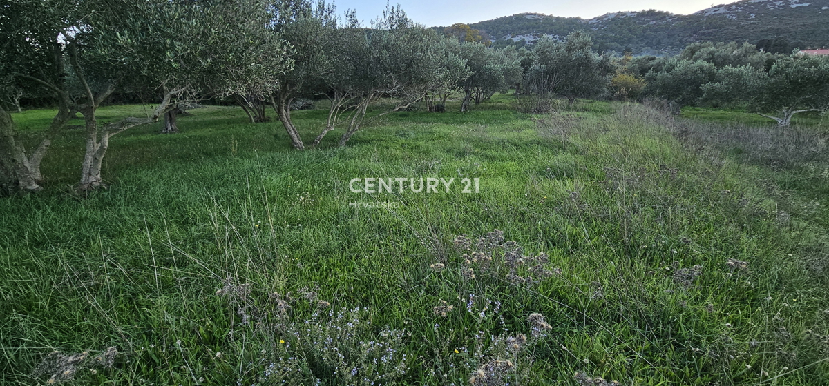 Pašman, Mrljane, terreno edificabile con vista mare
