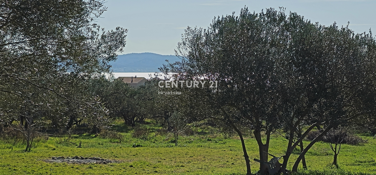 Sveti Filip i Jakov, Turanj, terreno edificabile, ulivada, 747 m2 con vista mare