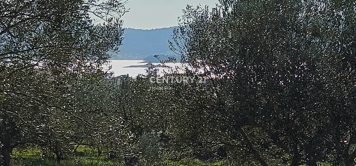 Sveti Filip i Jakov, Turanj, terreno edificabile, ulivada, 747 m2 con vista mare