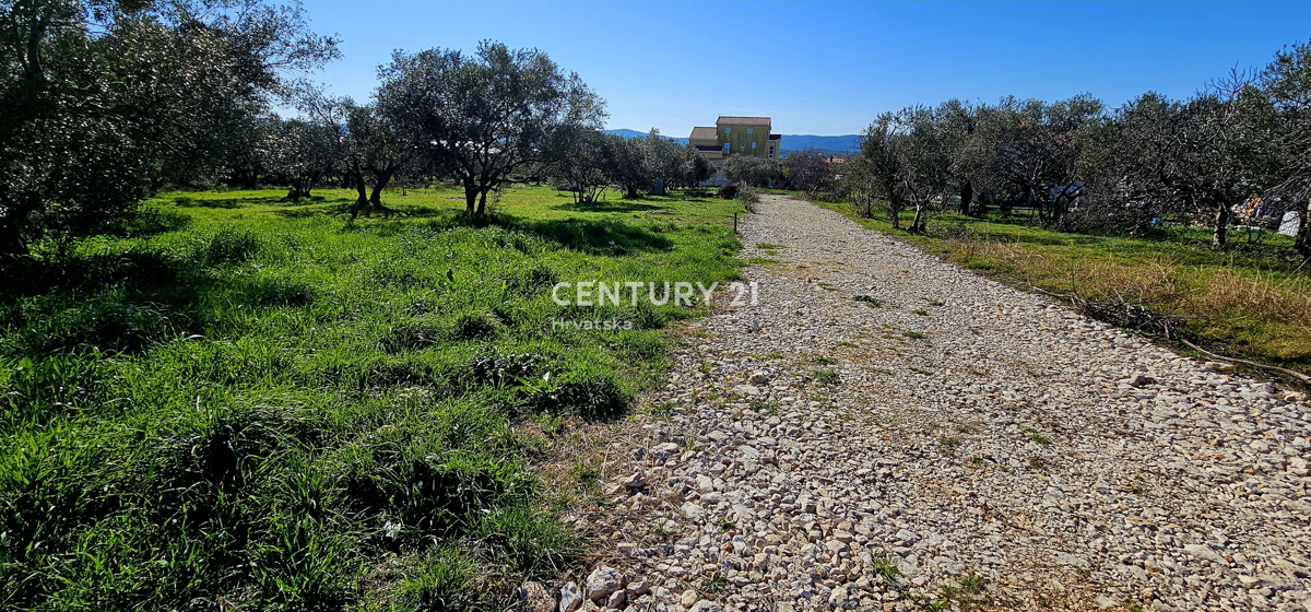 Sveti Filip i Jakov, Turanj, terreno edificabile, ulivada, 747 m2 con vista mare