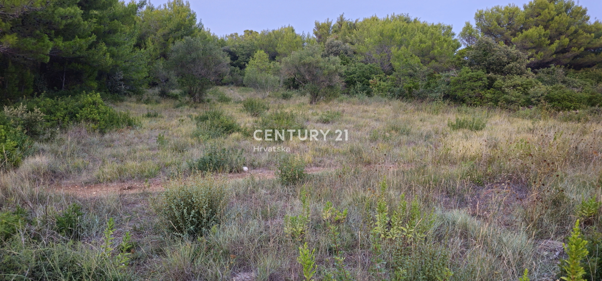 Biograd na Moru, Kumenat, terreno estremamente attraente direttamente sul mare