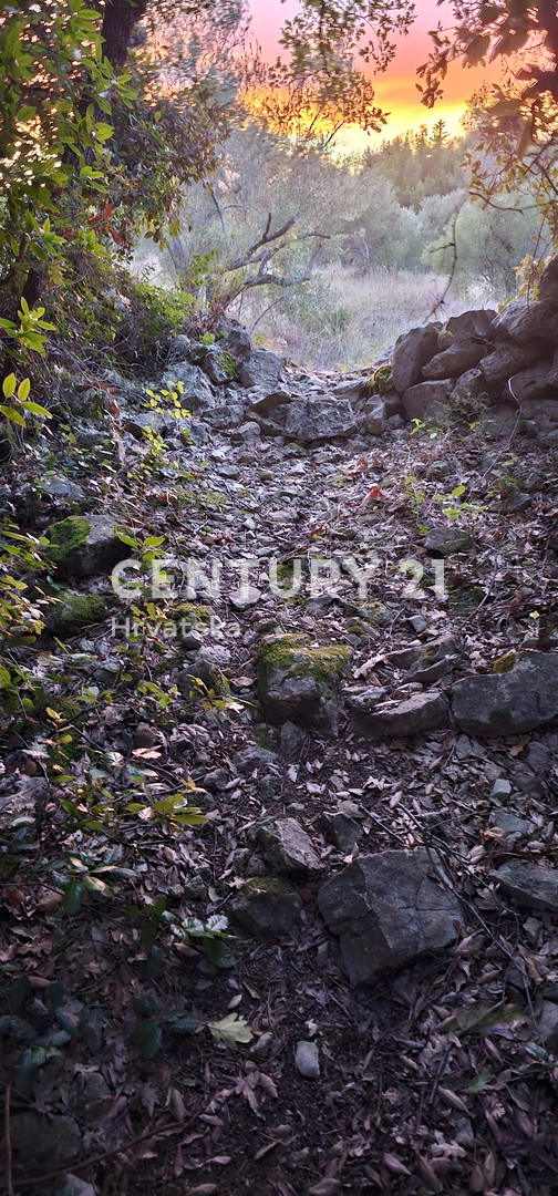 Biograd na Moru, Kumenat, terreno estremamente attraente direttamente sul mare