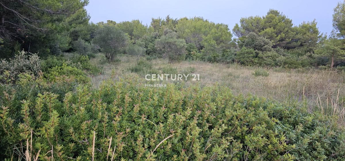 Biograd na Moru, Kumenat, terreno estremamente attraente direttamente sul mare