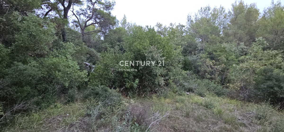 Biograd na Moru, Kumenat, terreno estremamente attraente direttamente sul mare