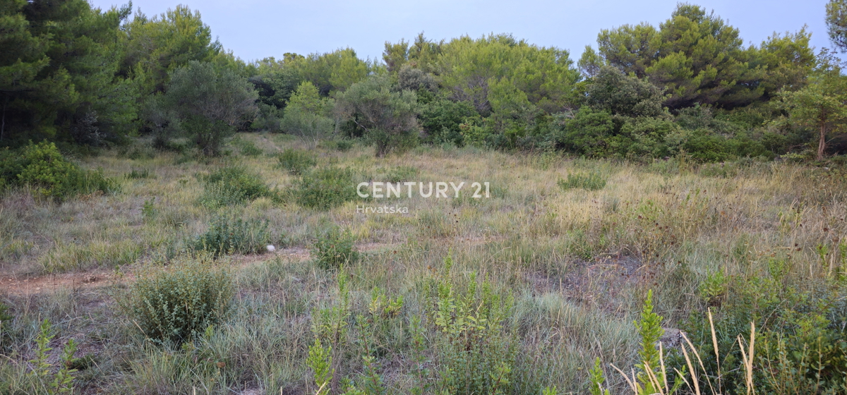 Biograd na Moru, Kumenat, terreno estremamente attraente direttamente sul mare