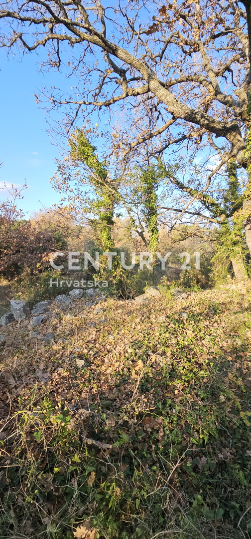 Pakoštane, Drage, terreno edificabile di superficie 1040 m2