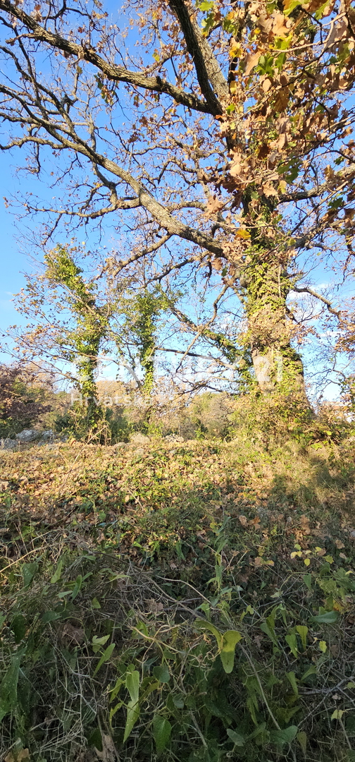 Pakoštane, Drage, terreno edificabile di superficie 1040 m2