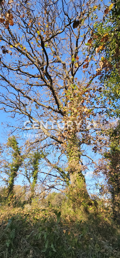 Pakoštane, Drage, terreno edificabile di superficie 1040 m2