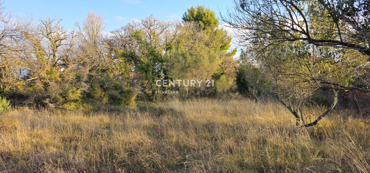 Pakoštane, Drage, terreno edificabile di superficie 1040 m2