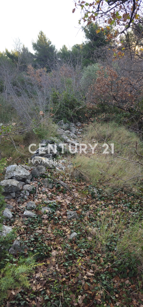 Pakoštane, Drage, terreno edificabile di superficie 1040 m2