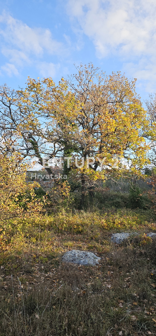 Pakoštane, Drage, terreno edificabile di superficie 1040 m2