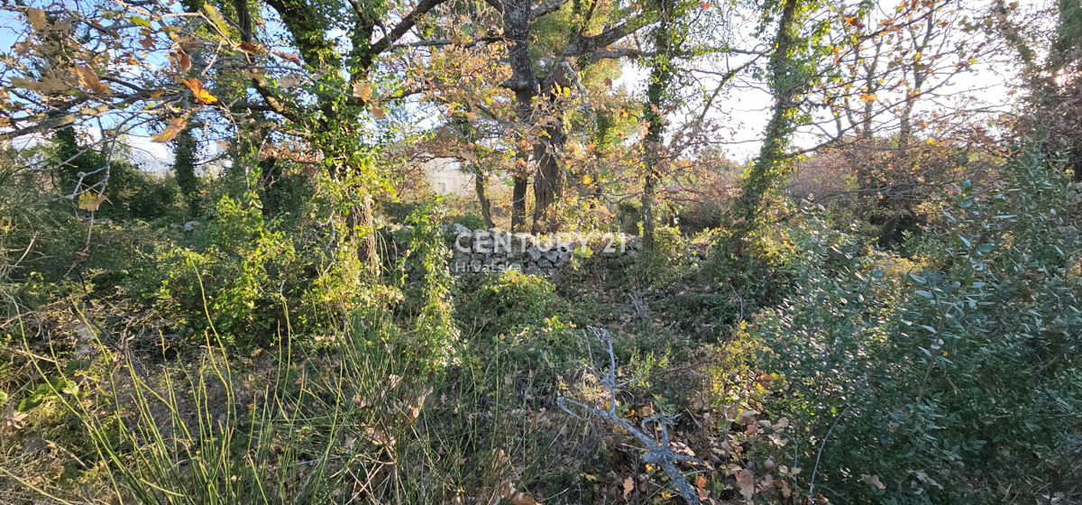 Pakoštane, Drage, terreno edificabile di superficie 1040 m2