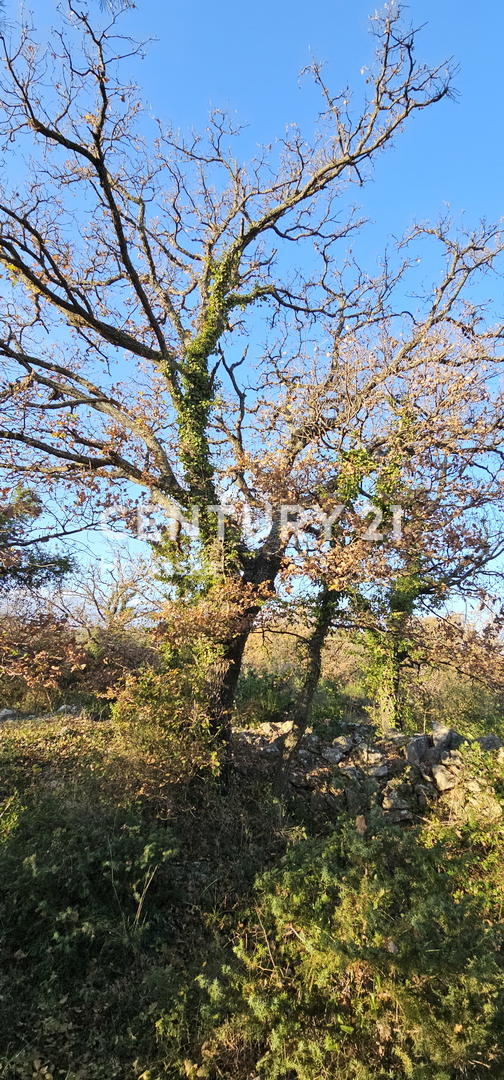 Pakoštane, Drage, terreno edificabile di superficie 1040 m2