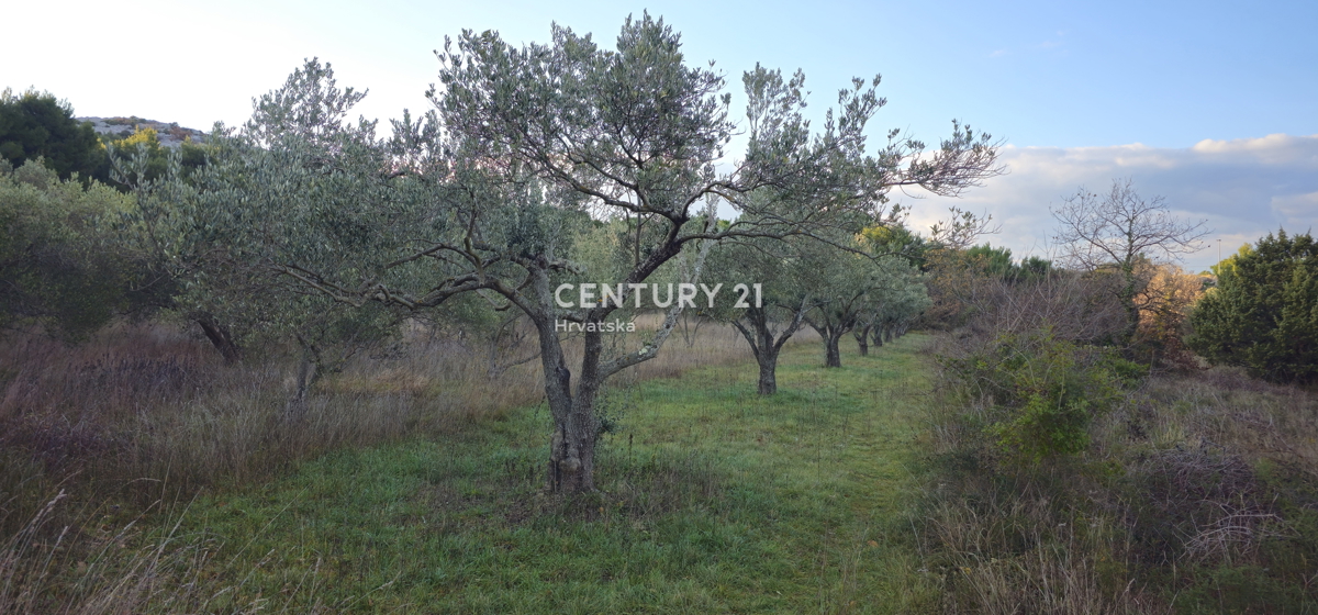 Pakoštane, Drage, terreno edificabile di superficie 1040 m2