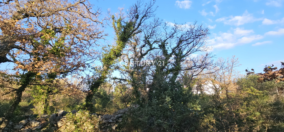 Pakoštane, Drage, terreno edificabile di superficie 1040 m2