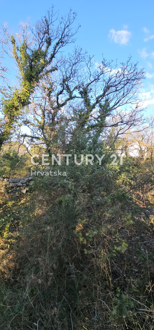 Pakoštane, Drage, terreno edificabile di superficie 1040 m2