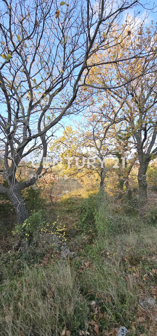 Pakoštane, Drage, terreno edificabile di superficie 1040 m2