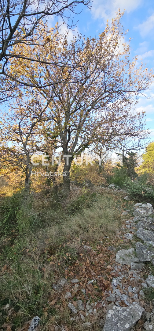 Pakoštane, Drage, terreno edificabile di superficie 1040 m2