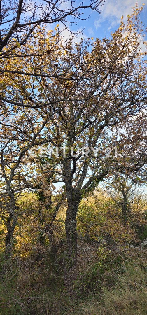 Pakoštane, Drage, terreno edificabile di superficie 1040 m2