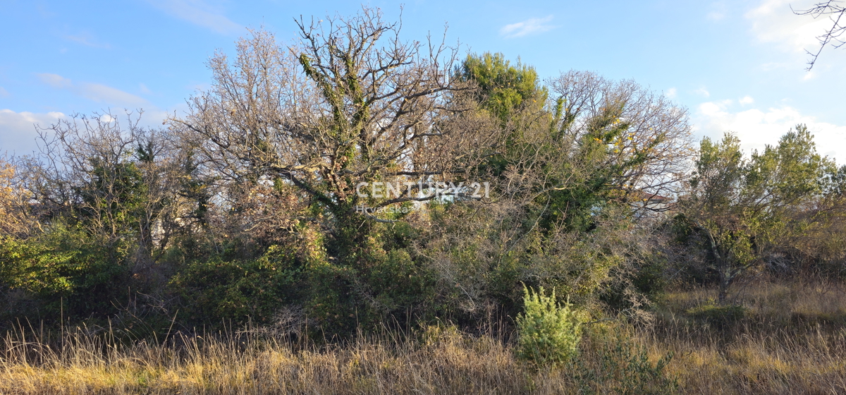 Pakoštane, Drage, terreno edificabile di superficie 1040 m2