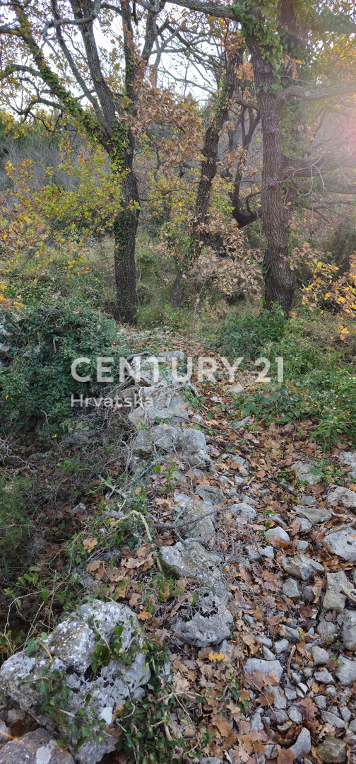 Pakoštane, Drage, terreno edificabile di superficie 1040 m2