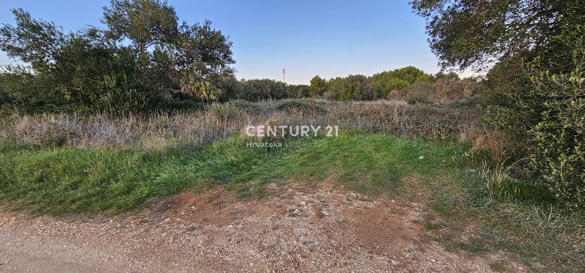 Biograd na Moru, Kumenat, 2.900 m2 di terreno nella zona turistica