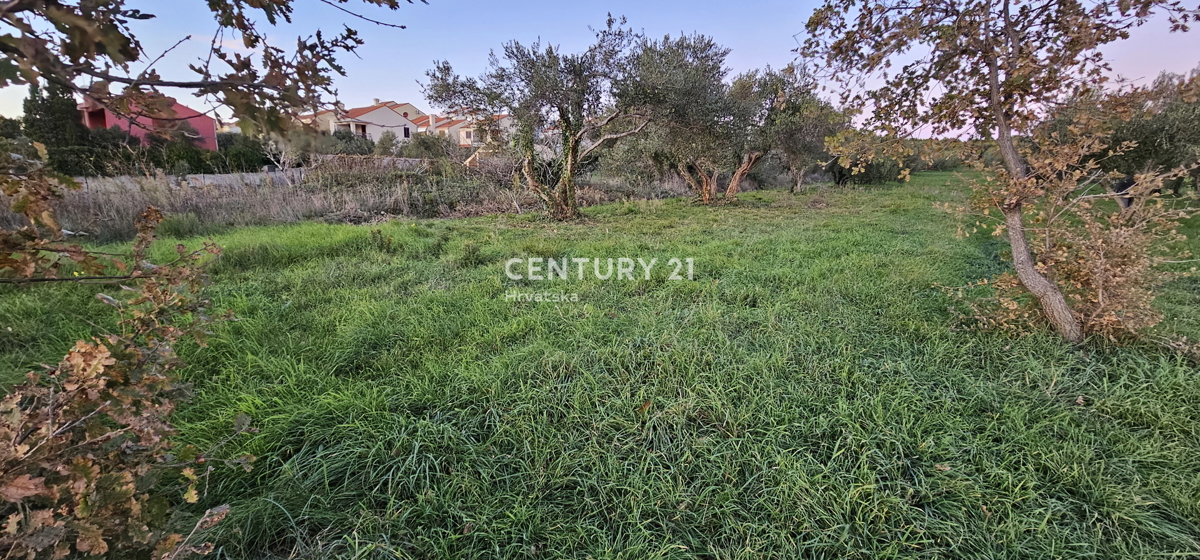 Biograd na Moru, Kumenat, 2.900 m2 di terreno nella zona turistica