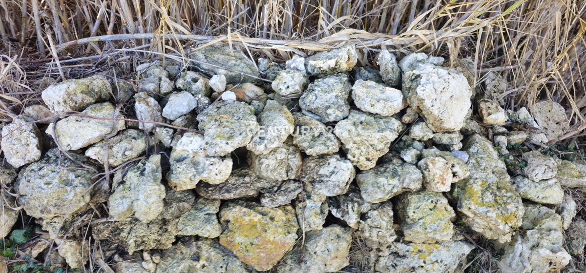 Pašman, Banj, terreno edificabile, prima fila sul mare, superficie 1760 m2