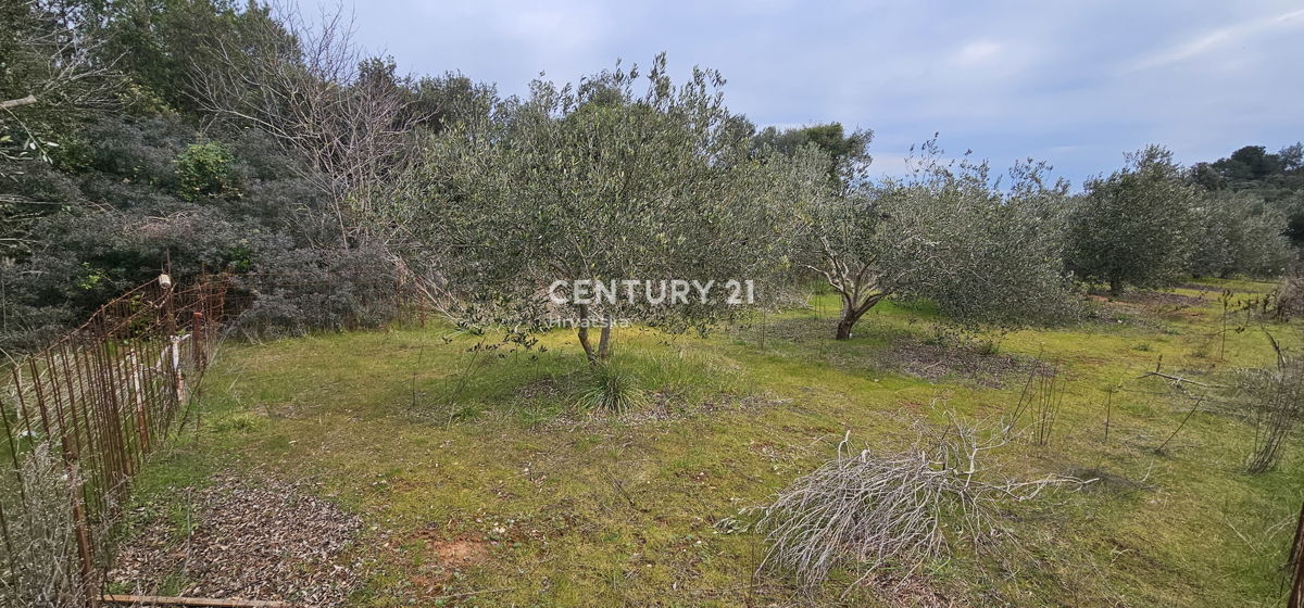 Tkon, isola di Pašman, terreno edificabile a 300 m dal mare