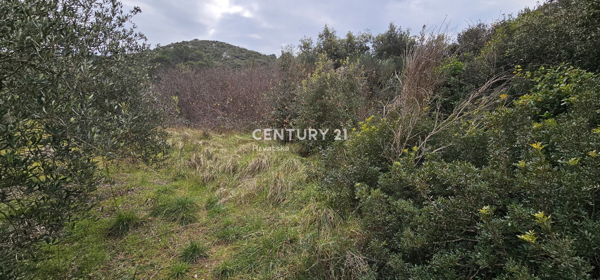Tkon, isola di Pašman, terreno edificabile a 300 m dal mare