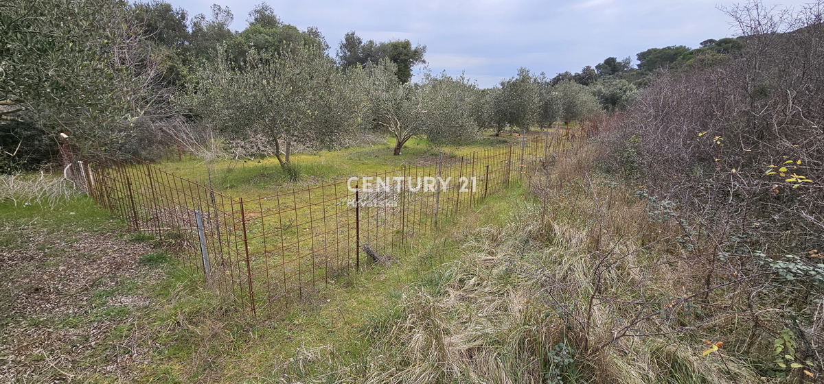 Tkon, isola di Pašman, terreno edificabile a 300 m dal mare