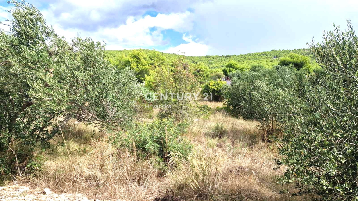 Tribunj - Provincia di Sebenico - terreno edificabile con vista mare