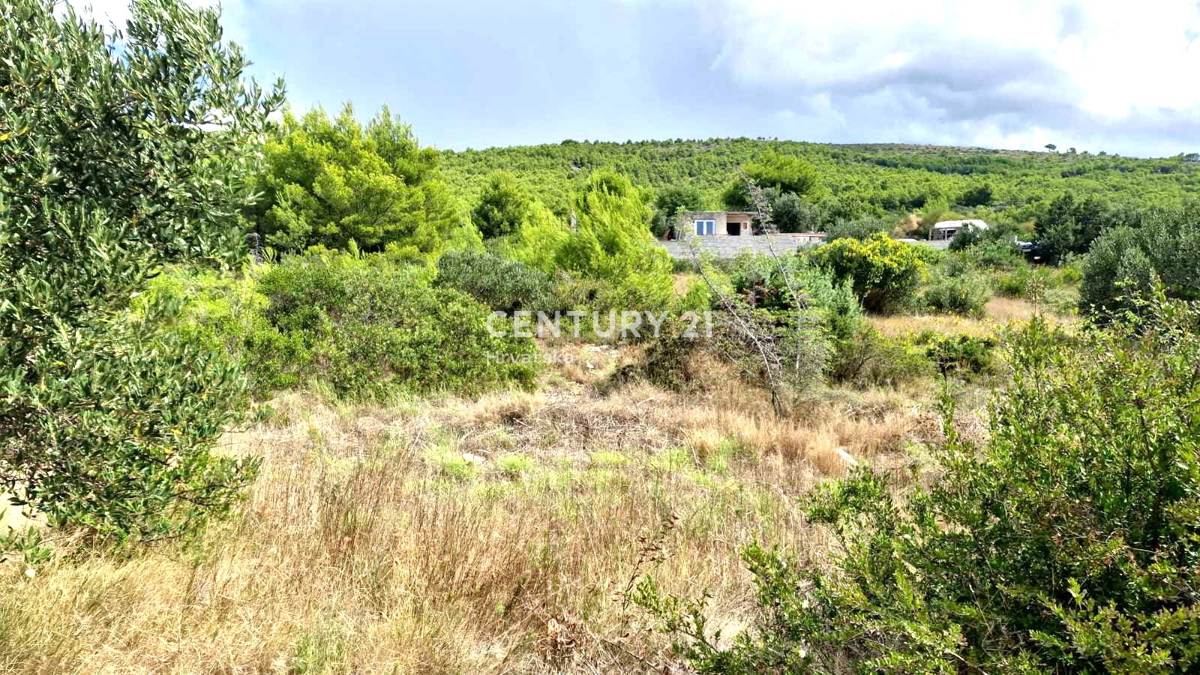 Tribunj - Provincia di Sebenico - terreno edificabile con vista mare