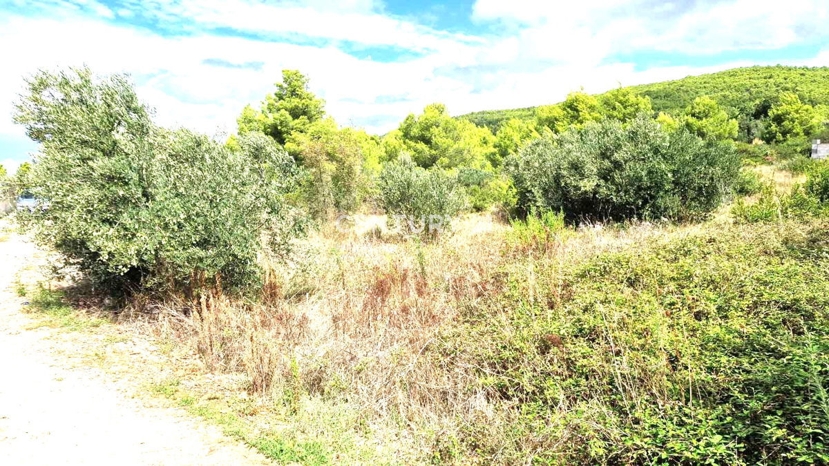 Tribunj - Provincia di Sebenico - terreno edificabile con vista mare