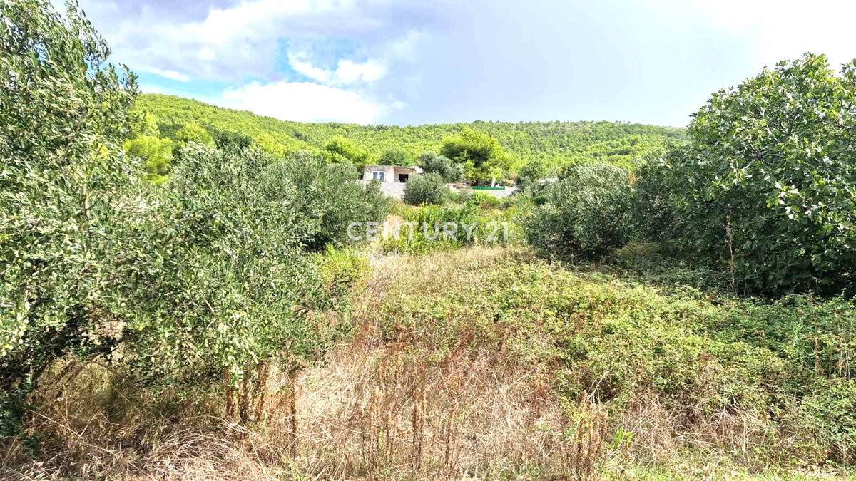 Tribunj - Provincia di Sebenico - terreno edificabile con vista mare