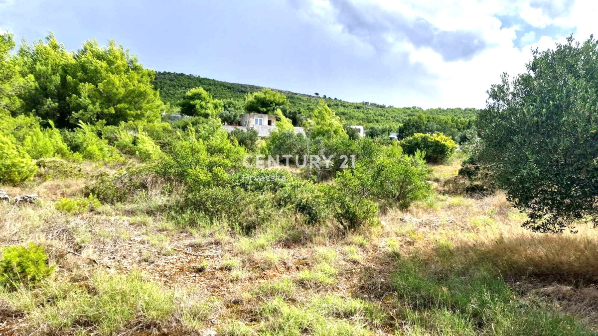 Tribunj - Provincia di Sebenico - terreno edificabile con vista mare