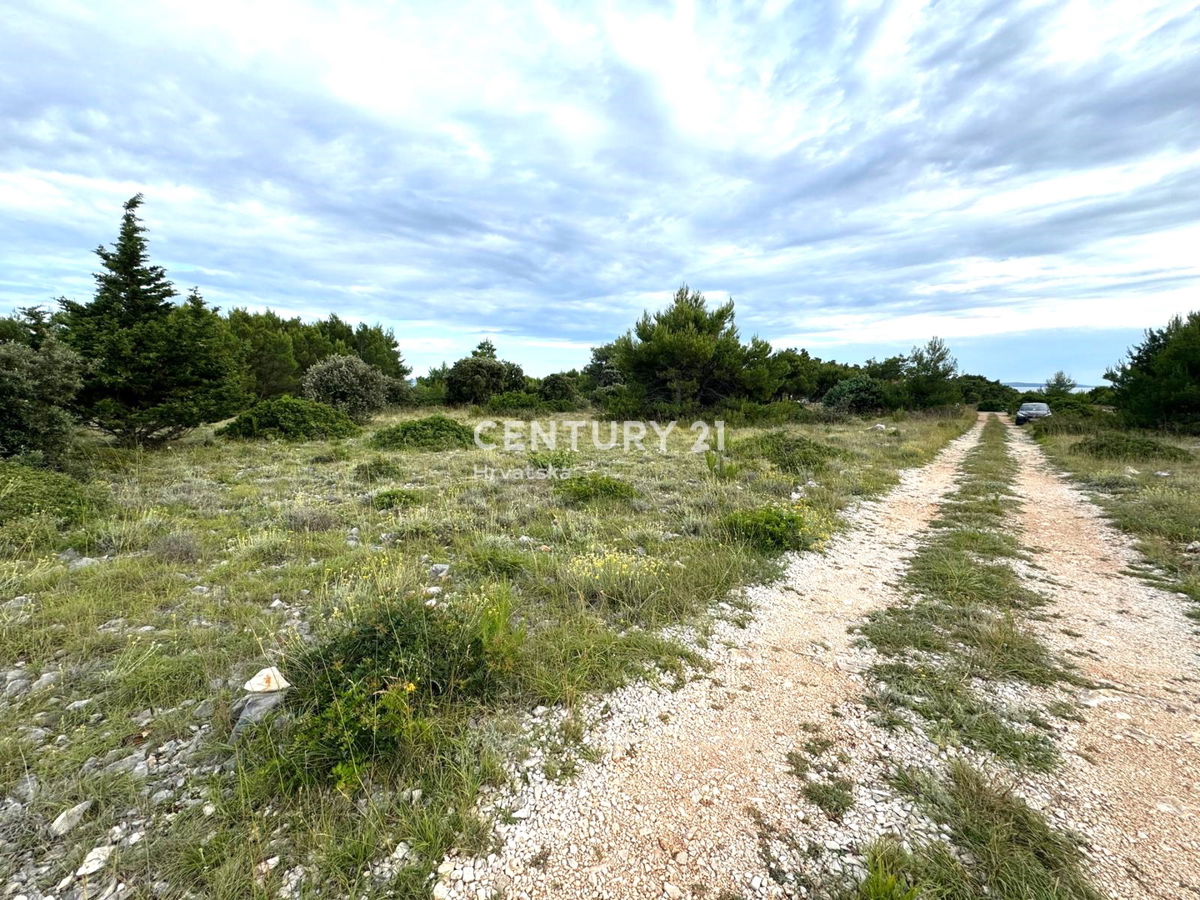 VIR - Zadar - terreno agricolo con potenziale