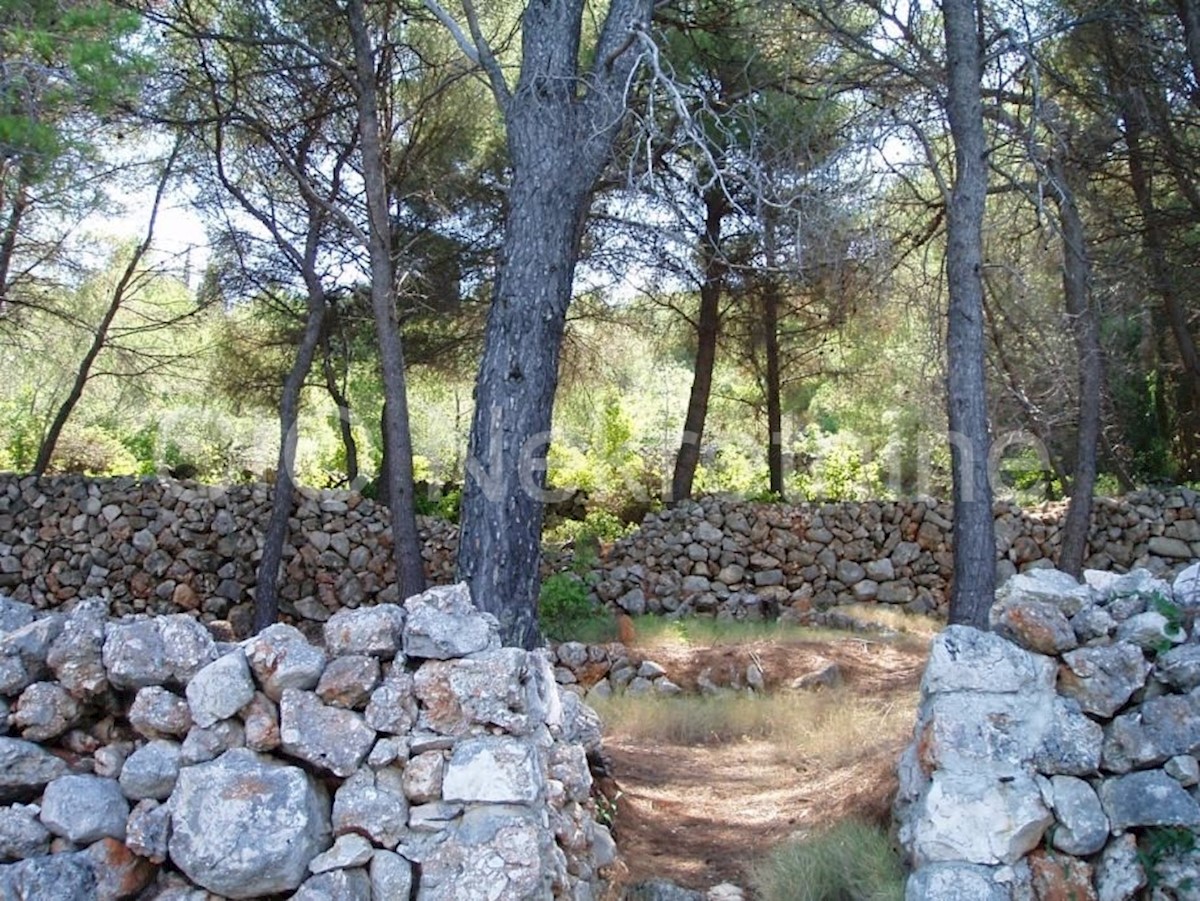 Hvar, Stari grad, terreno agricolo 6553 m2, in vendita