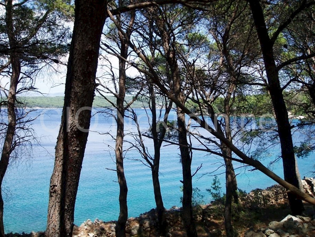 Hvar, Stari grad, terreno agricolo 6553 m2, in vendita