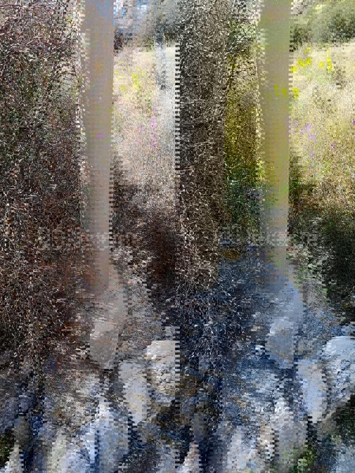 Omiš. Borak, terreno edificabile, 1046 m2, vista panoramica sul mare