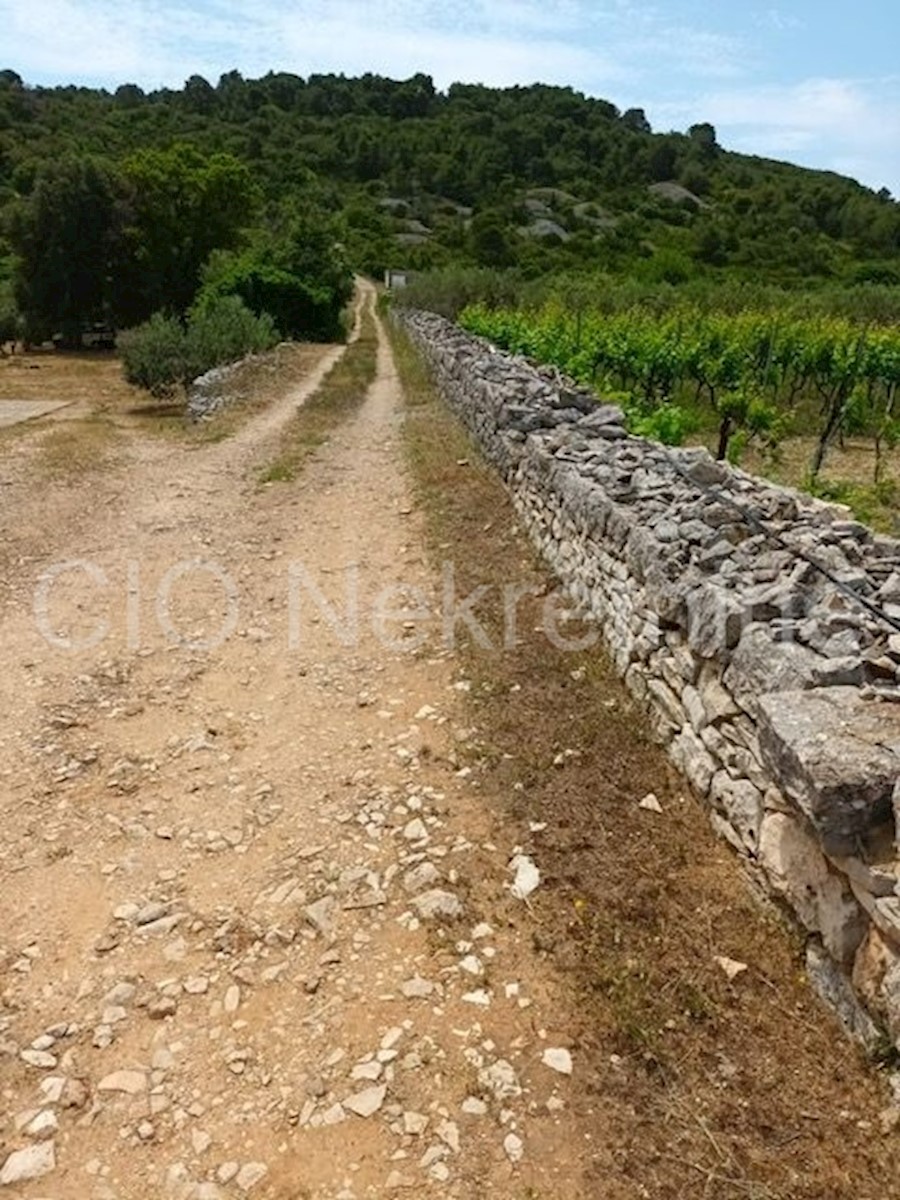 Vis, terreno edificabile, vendita