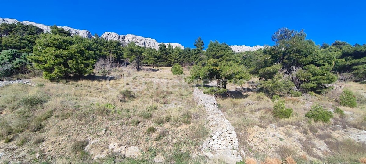 Omiš, Pisak, terreno agricolo 2319 m2, in vendita