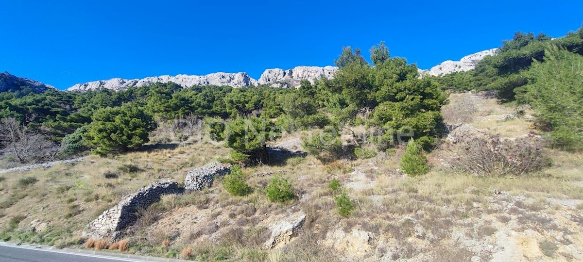 Omiš, Pisak, terreno agricolo 2319 m2, in vendita