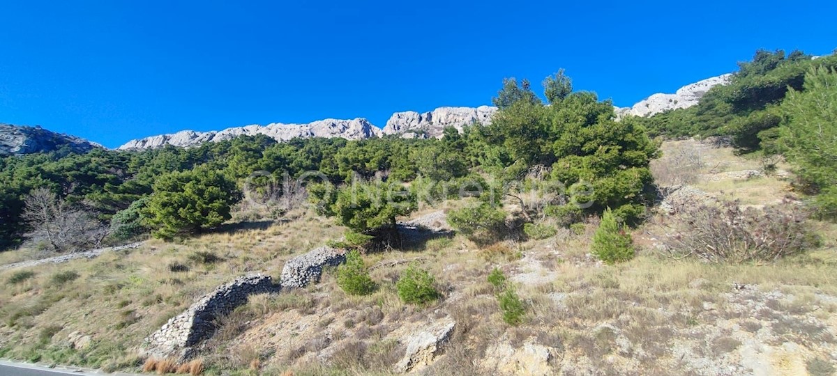 Omiš, Pisak, terreno agricolo 2319 m2, in vendita