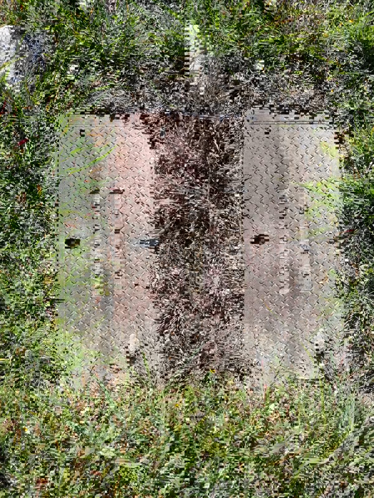 Omiš, Borak, terreno edificabile, 1183 m2, in vendita