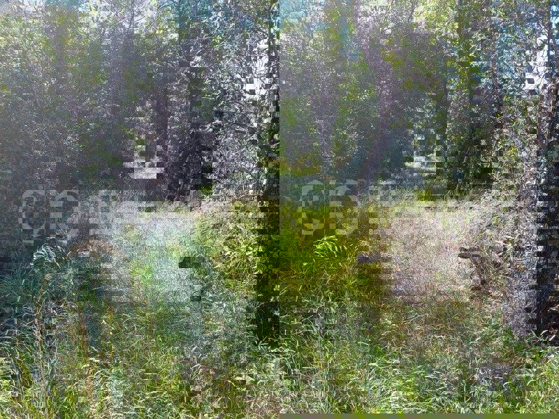 Klis, terreno edificabile in vendita