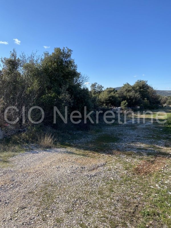 Marina, Vrsine, terreno agricolo, vendita