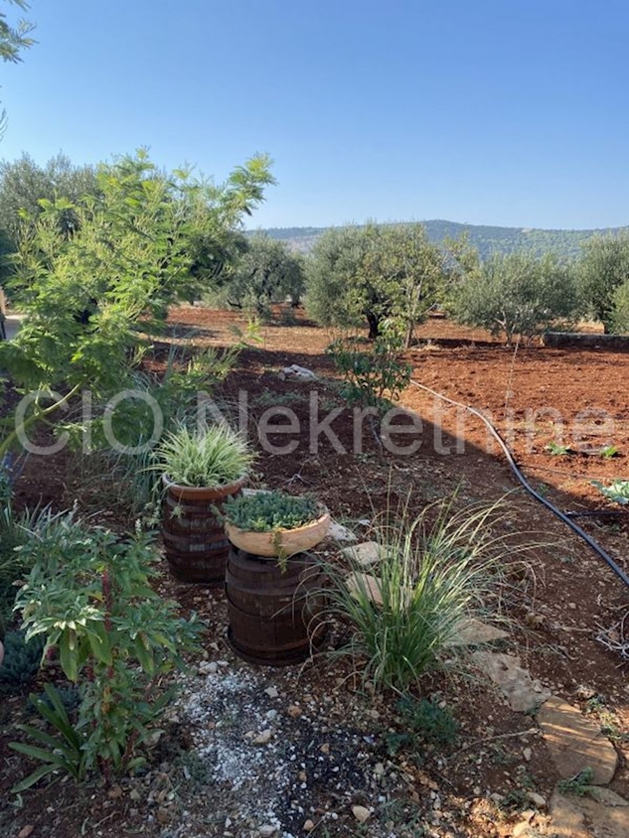 Marina, vendesi casa indipendente con interessante terreno edificabile